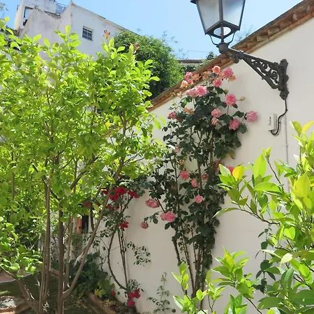 Charming Albaicin Patio Flat Free Onsite Parking-3